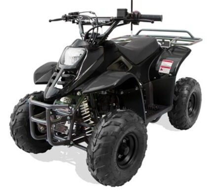Trailmaster T110 ATV 6'' Youth sports Hunters style For Sale