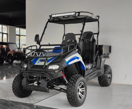 TrailMaster Challenger 200EUX Utv, Automatic CTV with reverse For Sale