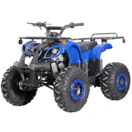 Dongfang DongFang 125cc Kids ATV For Sale