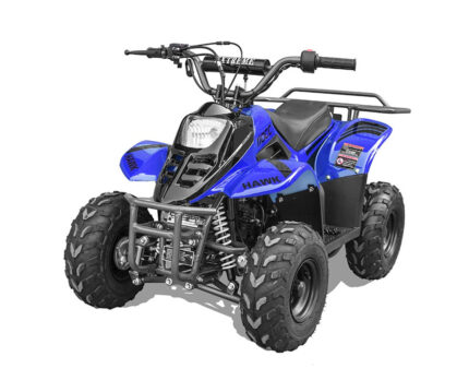 HAWK REX 110CC ATV, 6" Tire - Fully Assembled and Tested For Sale