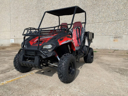 Trailmaster Challenger 200U UTV, Fully Automatic With Reverse For Sale