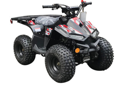 Vitacci RXR 110cc Atv,Automatic with Reverse single cylinder 4 stroke For Sale